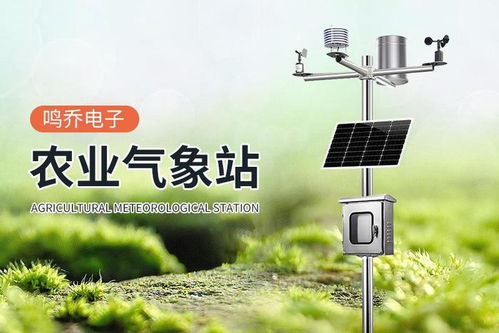 精准把握风云变幻，推荐几款实用的风速风向查询网站