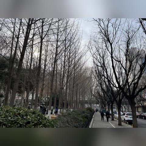 山东天气预报最新,强冷空气来袭,局地降温超10℃请注意防范 山东天气预报最新,强冷空气来袭,局地降温超10℃请注意防范