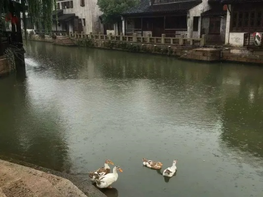无锡的雨,江南的梦 无锡的雨,江南的梦
