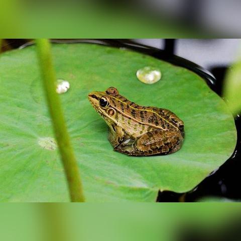 掌握未来半月晴雨，15天天气预报查询的实用价值与理性看待