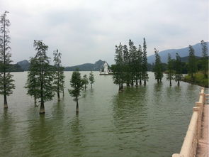 惠城晴雨录,一座岭南小城的天气哲学 惠城晴雨录,一座岭南小城的天气哲学