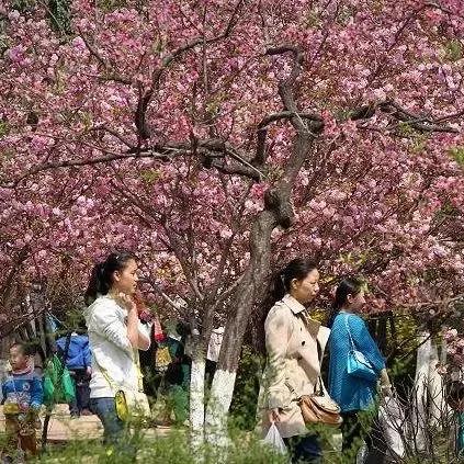 未来一个月的天气预报30天,季节交替中的生活指南 未来一个月的天气预报30天,季节交替中的生活指南