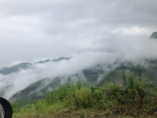 贵州天气预报,一场与山间云雾的温柔对话 贵州天气预报,一场与山间云雾的温柔对话