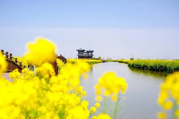 兴化天气预报,水乡天气里的生活智慧 兴化天气预报,水乡天气里的生活智慧