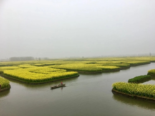 兴化天气预报,水乡天气里的生活智慧 兴化天气预报,水乡天气里的生活智慧