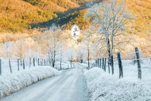 张家口的天气，一场风与雪的四季交响