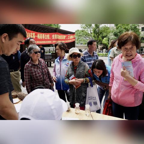 上海天气预报30天，梅雨与高温的拉锯战，你准备好了吗？