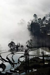 永州天气，潇湘烟雨里的四季诗篇