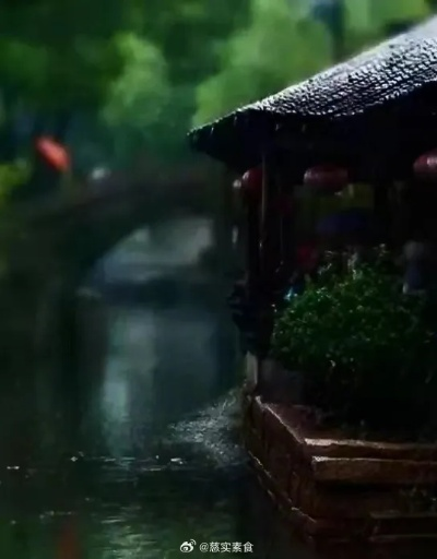 我是在一个梅雨天里到达无锡的。空气里拧得出水来，那水是温的，粘在皮肤上，像一层薄薄的汗，又像是潮润的吻。火车站外，雨丝斜斜地织着，织成一张灰蒙蒙的网，把远处的惠山都罩进去了