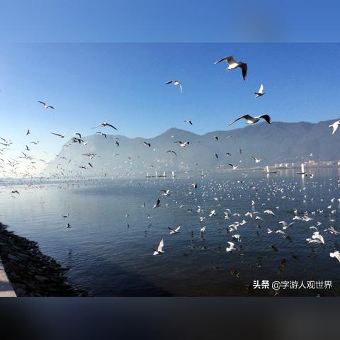 云南冬天温度一般多少，暖阳之冬，舒适如春