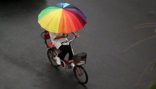 沈阳一周天气变幻莫测，市民出行需备好雨具与防晒装备